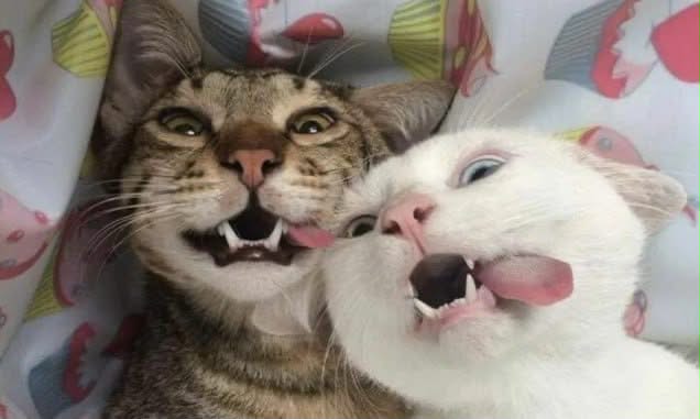 Photorealistic Two-Person Meme Selfie