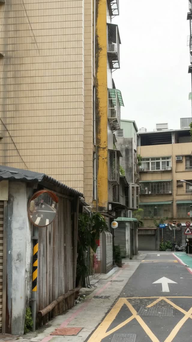 Formosan Bear and Growing Bougainvillea Timelapse