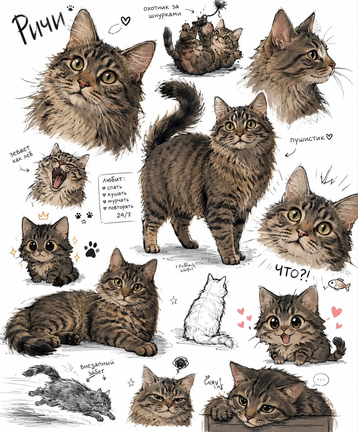Loose Sketch Page of Your Pet
