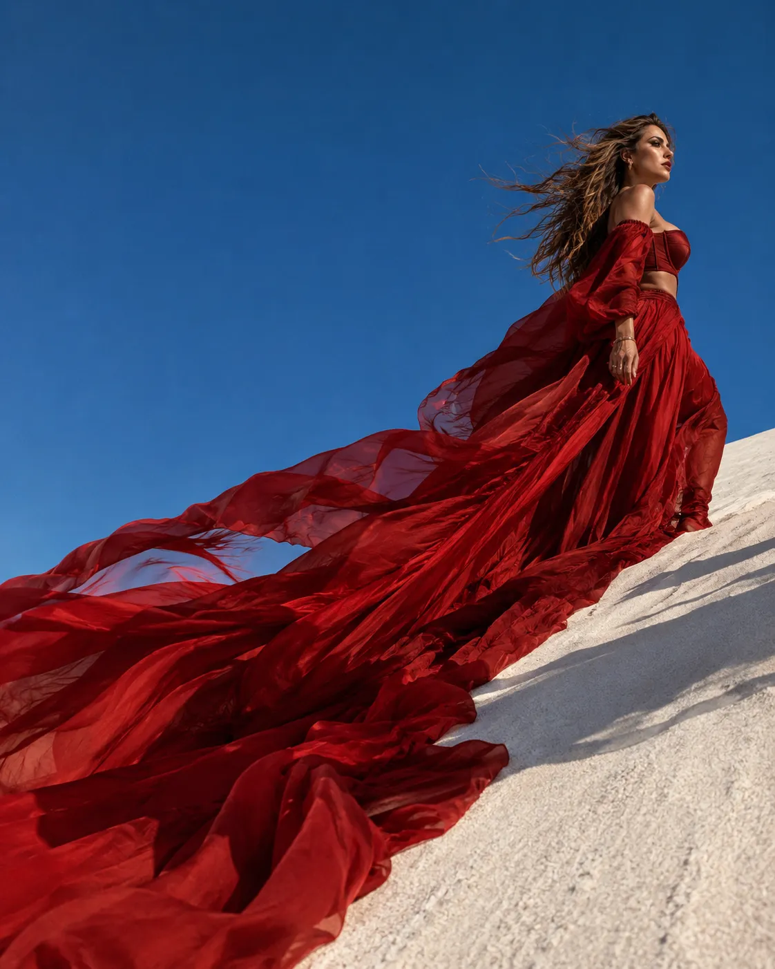 Scarlet Silk on the Red Desert Wind