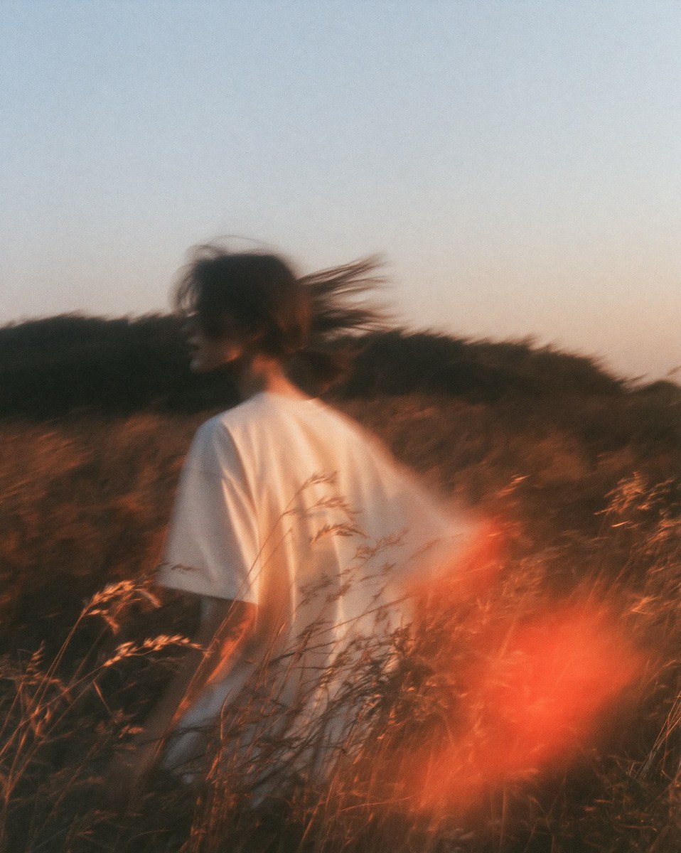 Cornfield at Final Sunset — 35mm Film Photo output 3