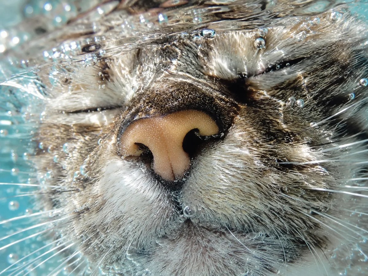 Weightless Underwater Portrait