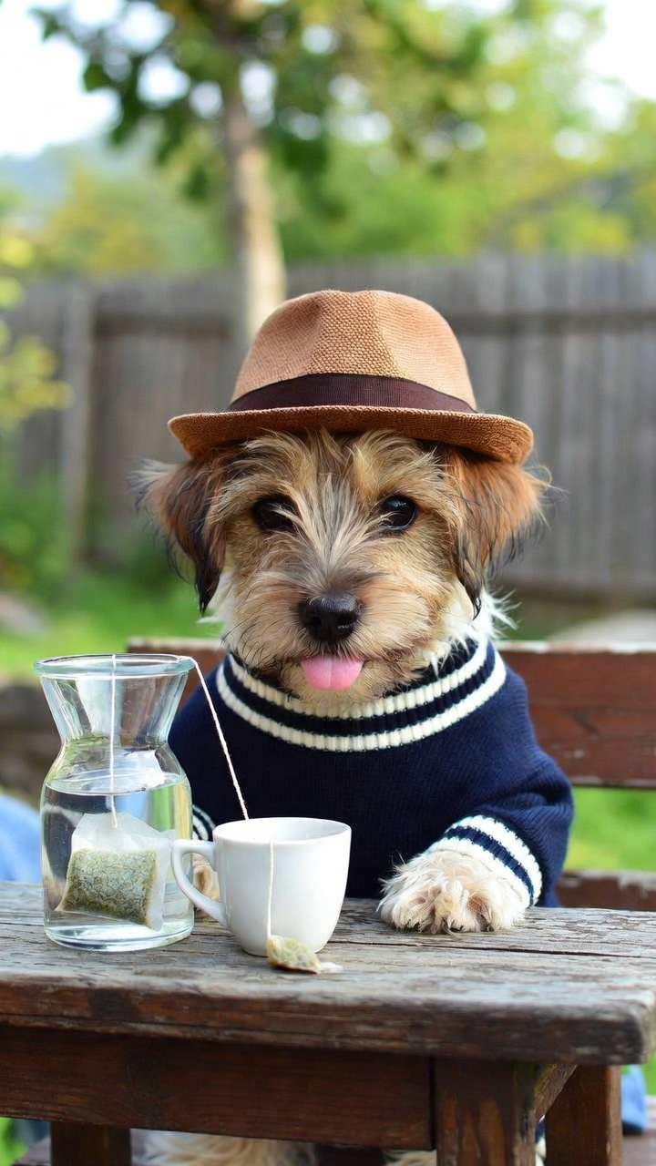 Anthropomorphic Jack Russell Terrier Pouring Tea Outdoors