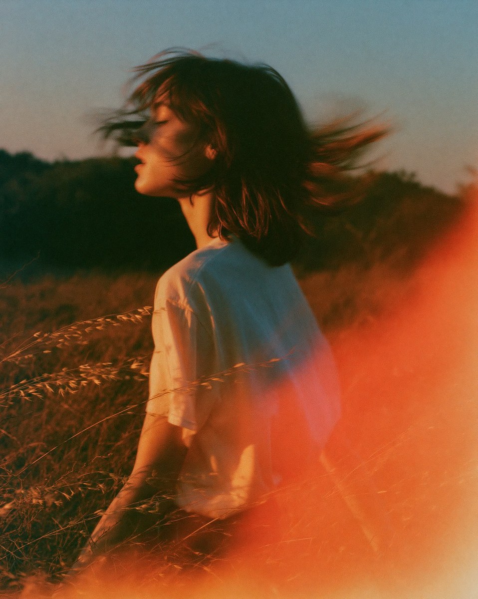 Cornfield at Final Sunset — 35mm Film Photo