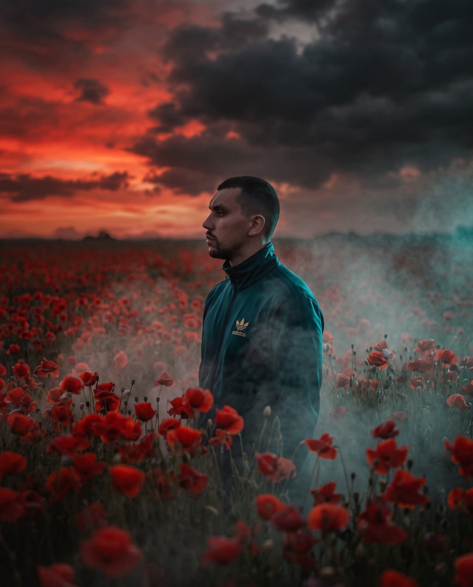Man in a Poppy Field Under a Fiery Sky