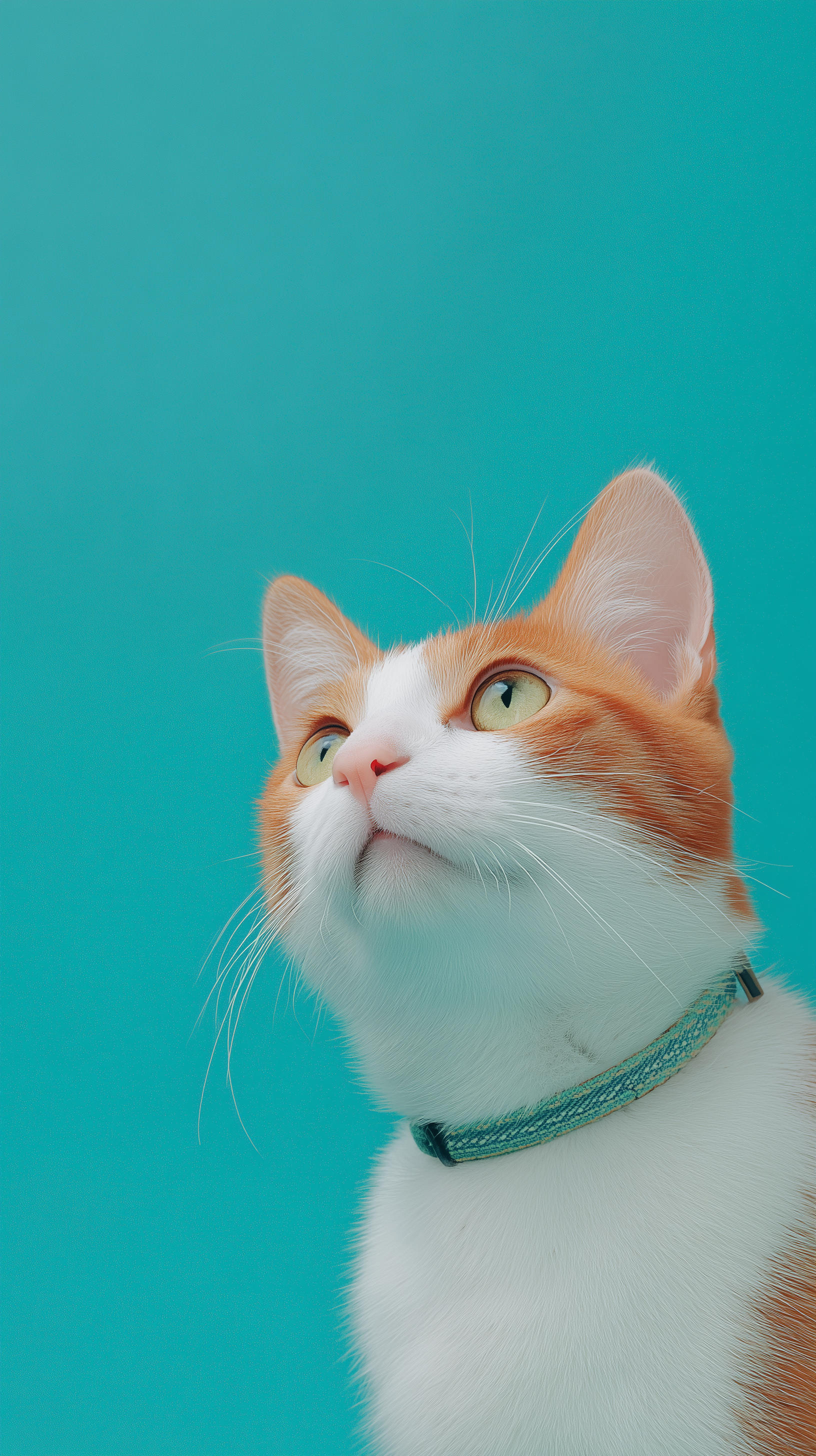 Realistic Portrait of a Happy Cat on a Blue-Green Background output 1