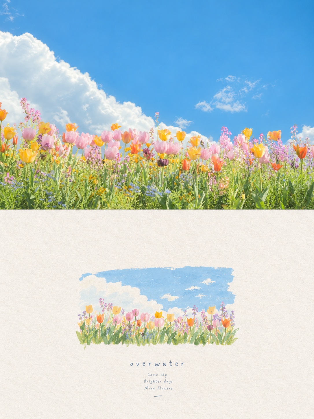 Editorial Photo and Handmade Illustration Poster output 4