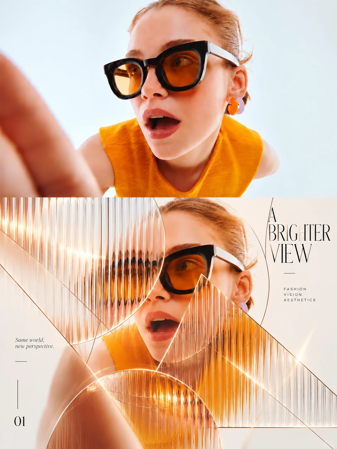 Adaptive Ribbed-Glass Optical Art Diptych Poster