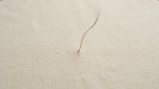 Photo-to-Embroidery Time-Lapse Video