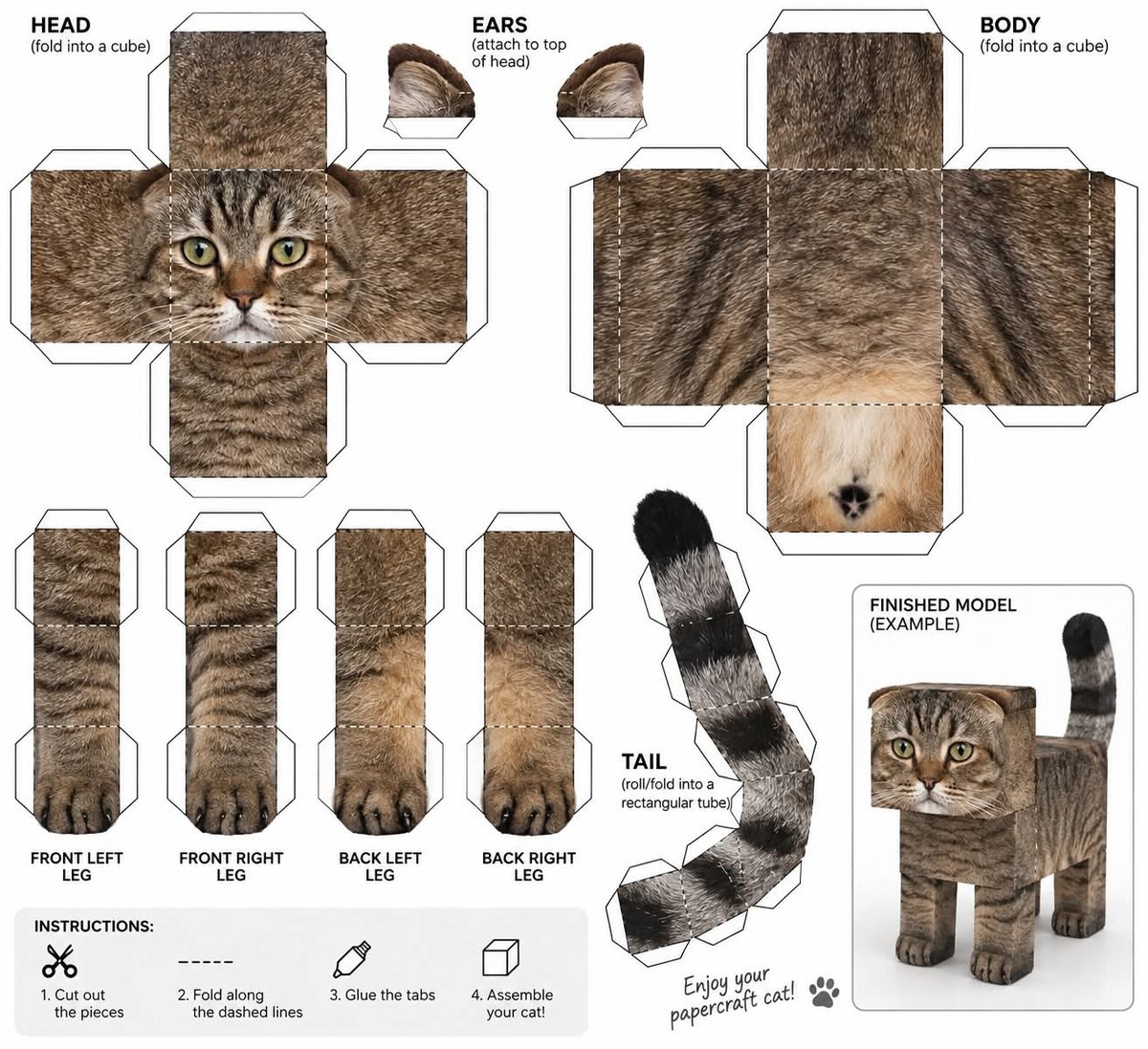 Printable Cube Papercraft Template of Your Pet