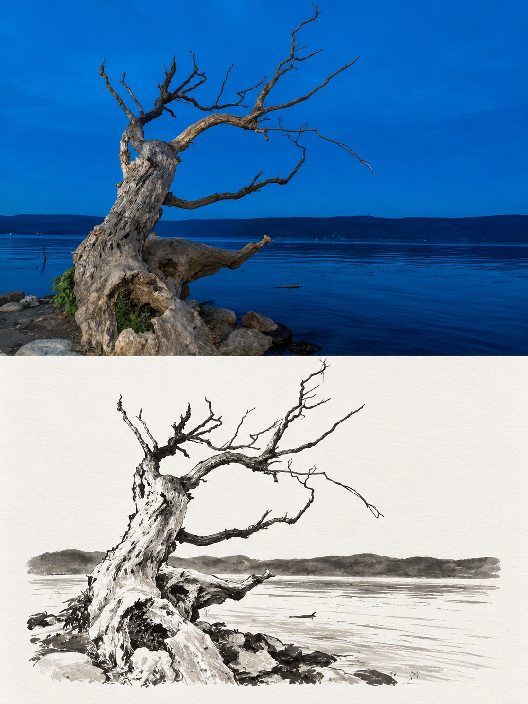 Photo and Cizhou Ware-Inspired Comic Diptych output 2