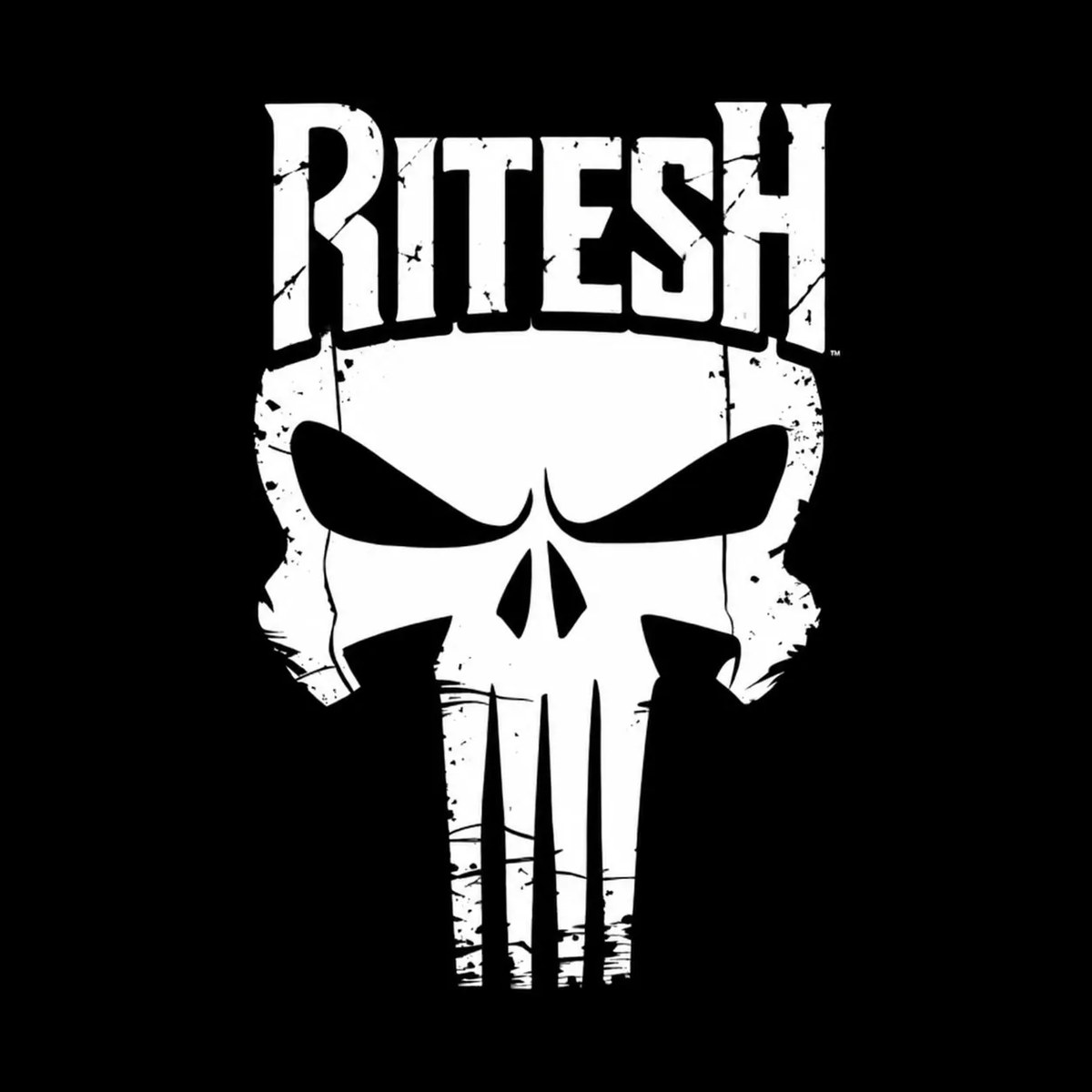 Black-and-White Punisher-Style Skull Logo