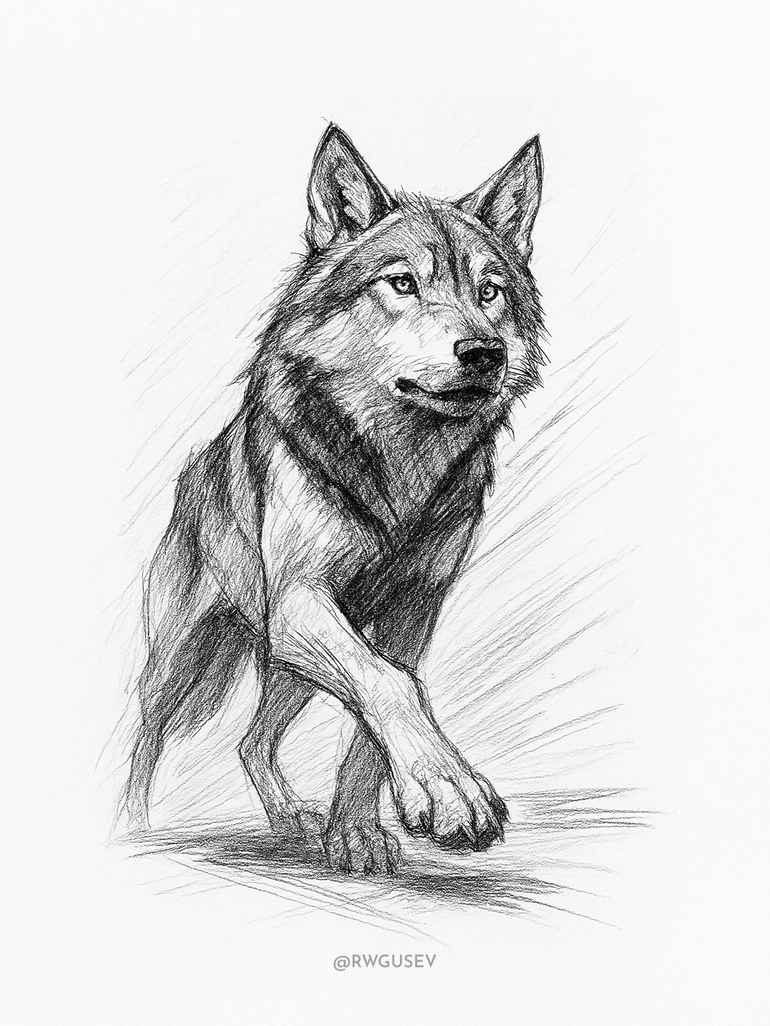 Dynamic Animal Pencil Sketch output 4