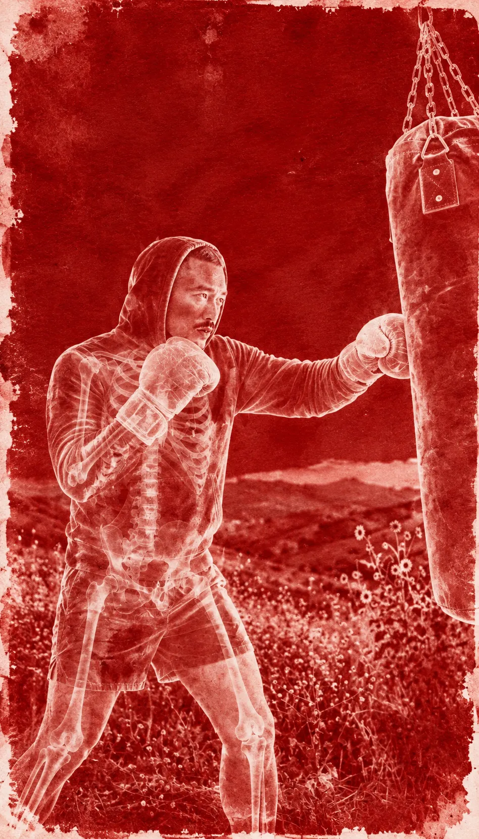 Red Cyanotype X-Ray Print Transformation output 7