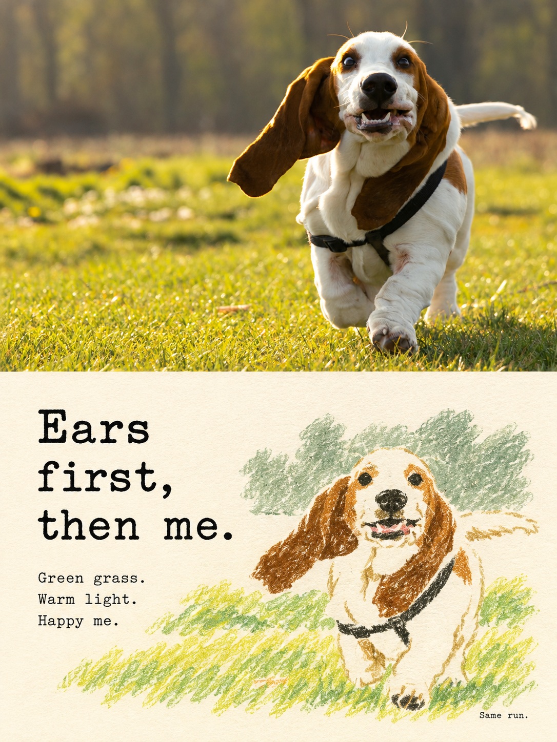 Photo-to-Crayon Picture-Book Page output 2