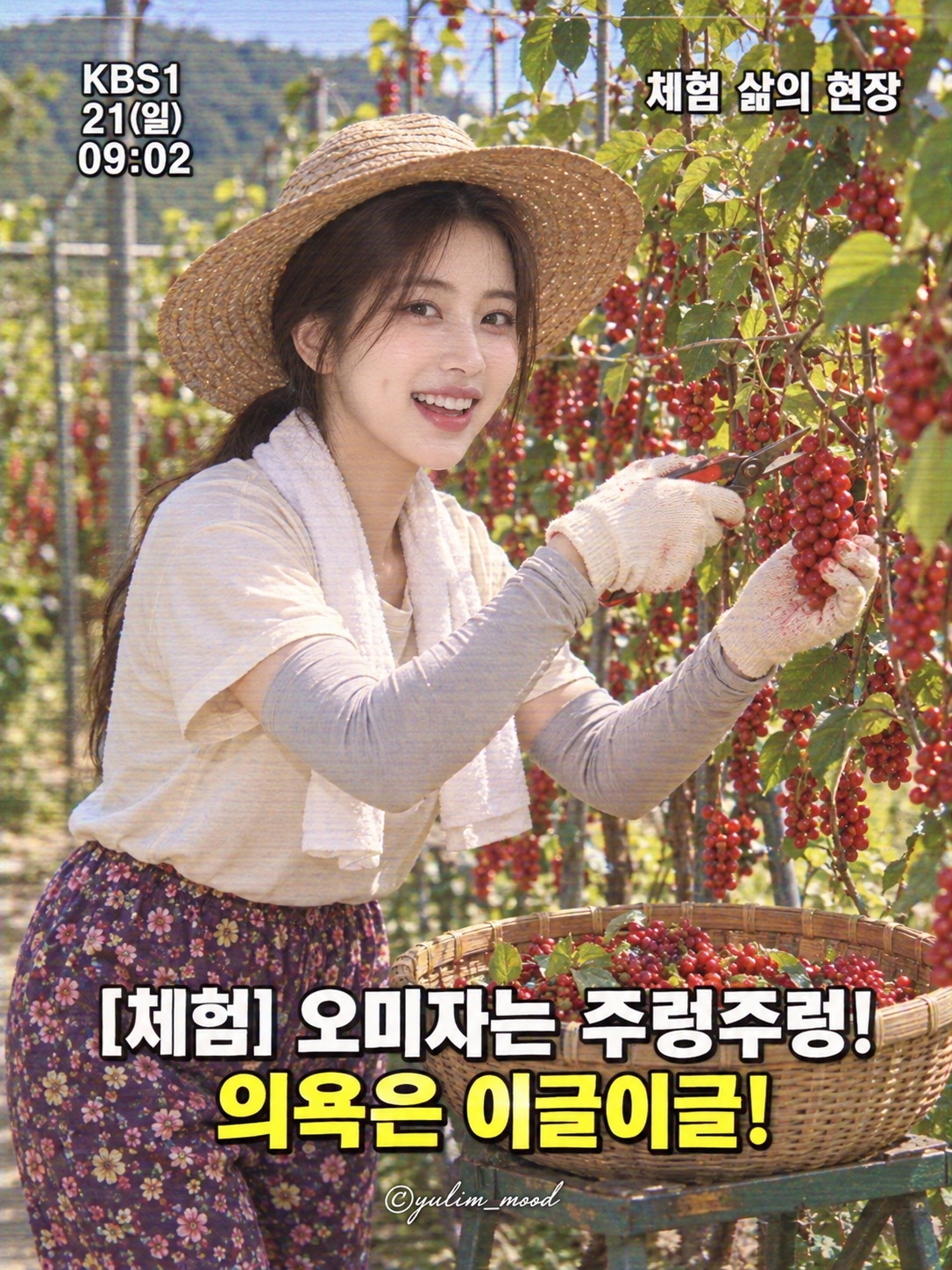 Retro TV Omija Harvest Scene output 1
