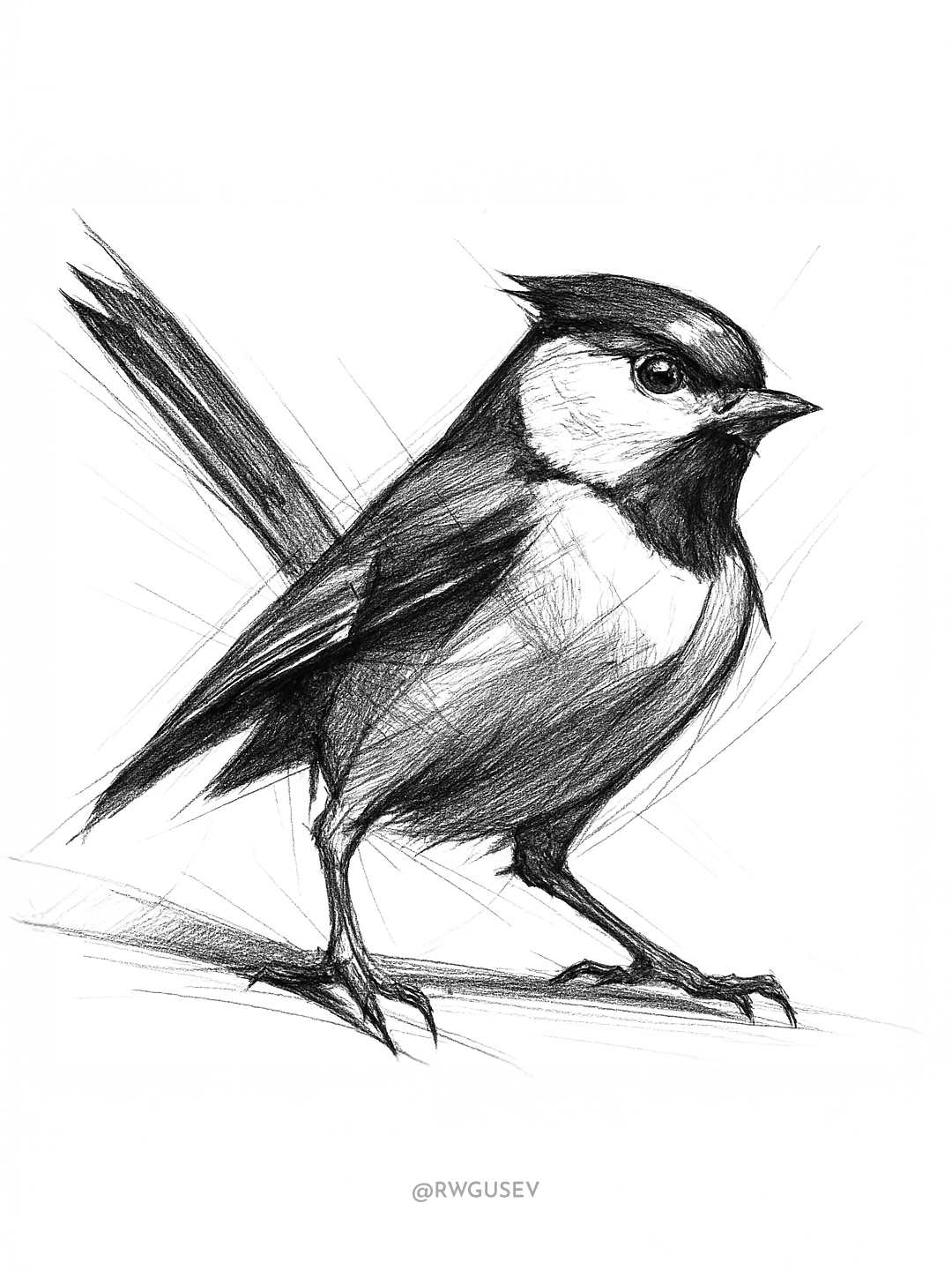 Dynamic Animal Pencil Sketch output 2
