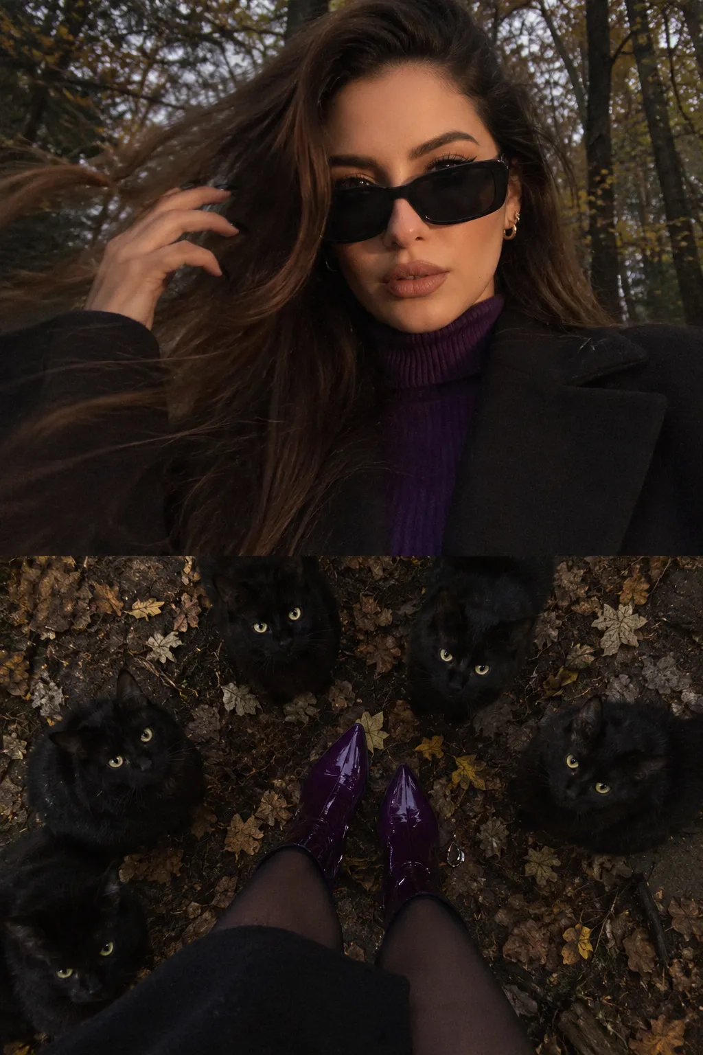 Dark Autumn Selfie and Black Cats Collage output 1