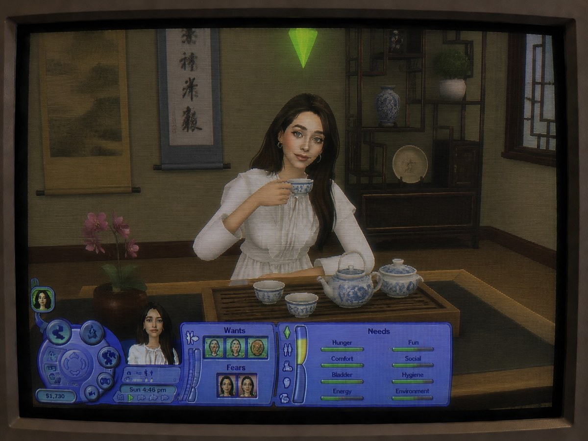 The Sims 2 CRT Gameplay Portrait output 3