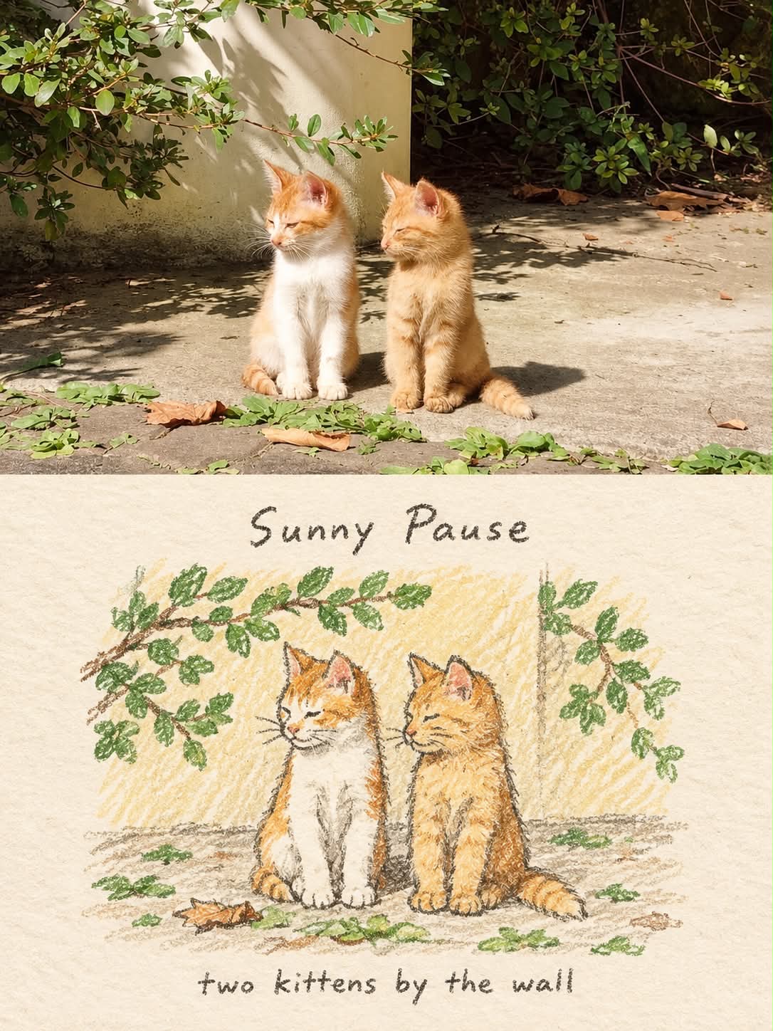 Photo and Crayon Travel Memory Postcard output 4