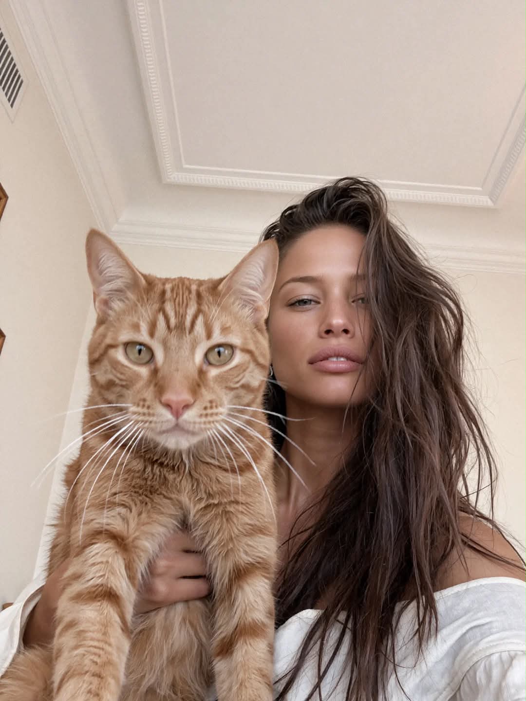Photoshoot Canceled: Woman and Orange Tabby Cat