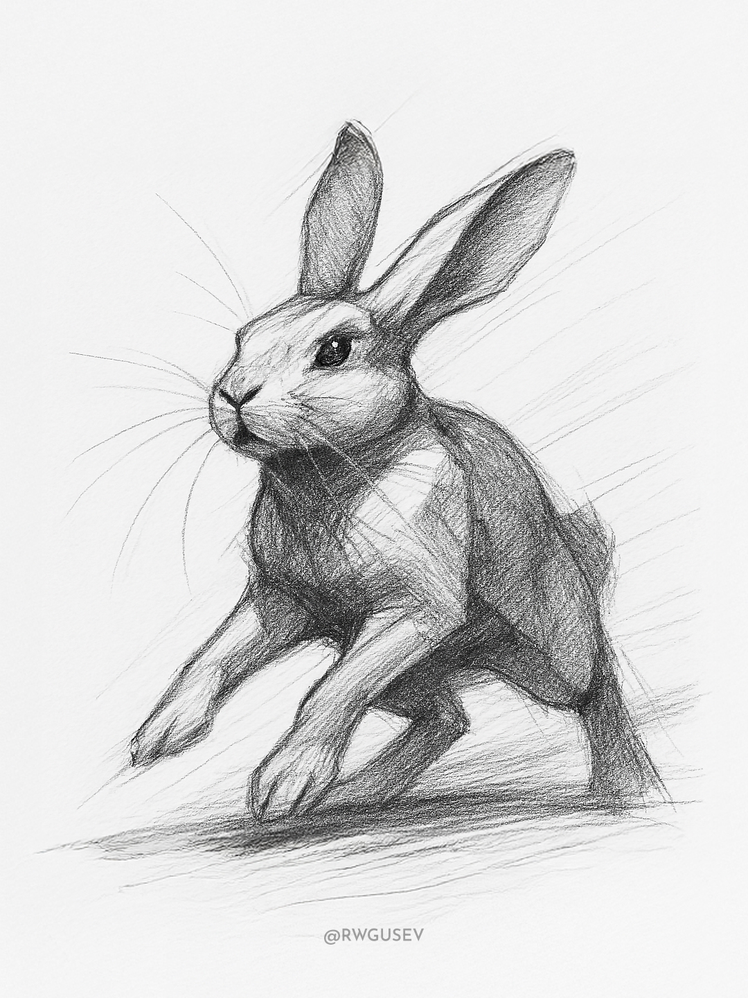 Dynamic Animal Pencil Sketch output 5