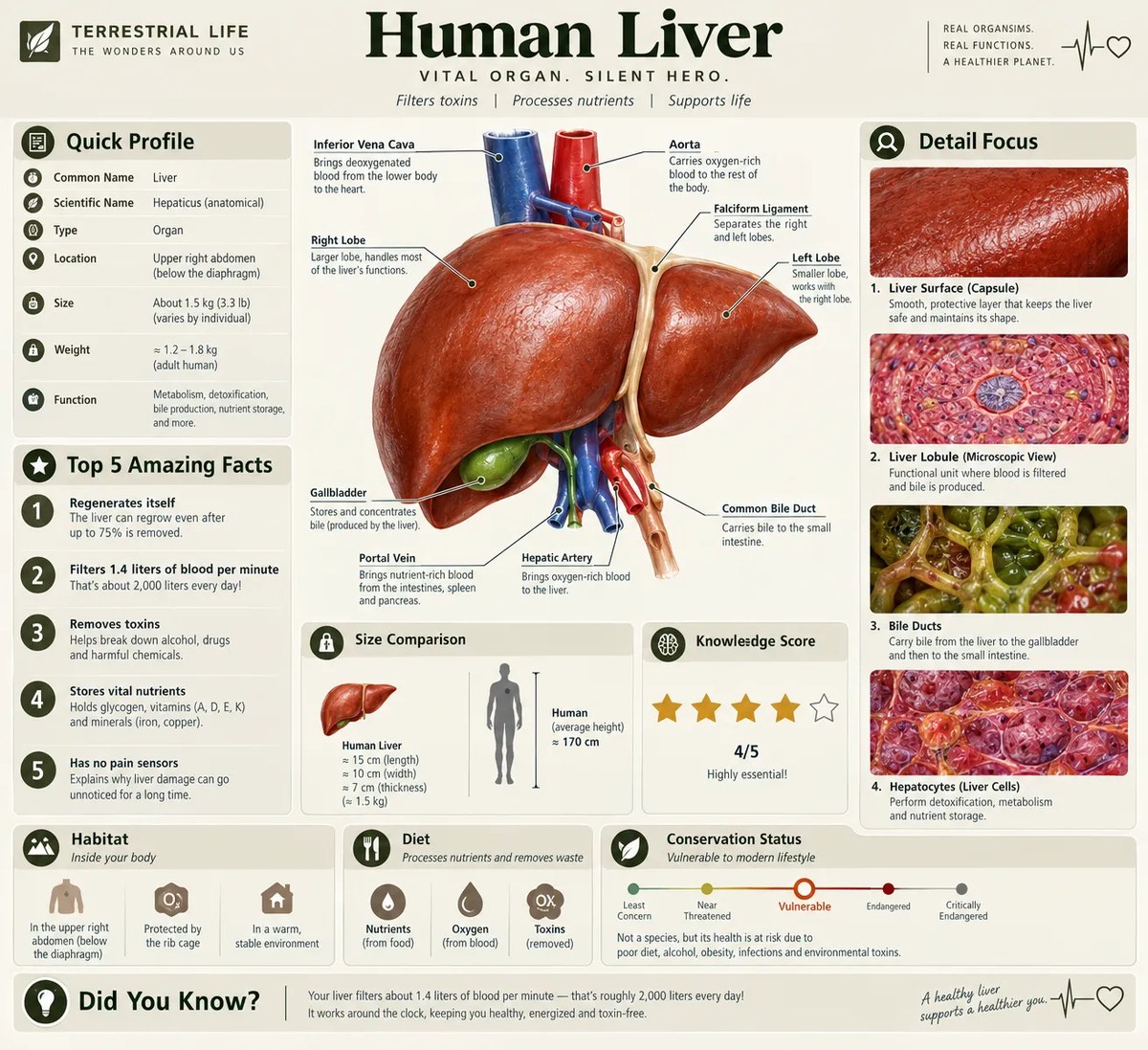 Scientific Educational Infographic output 3