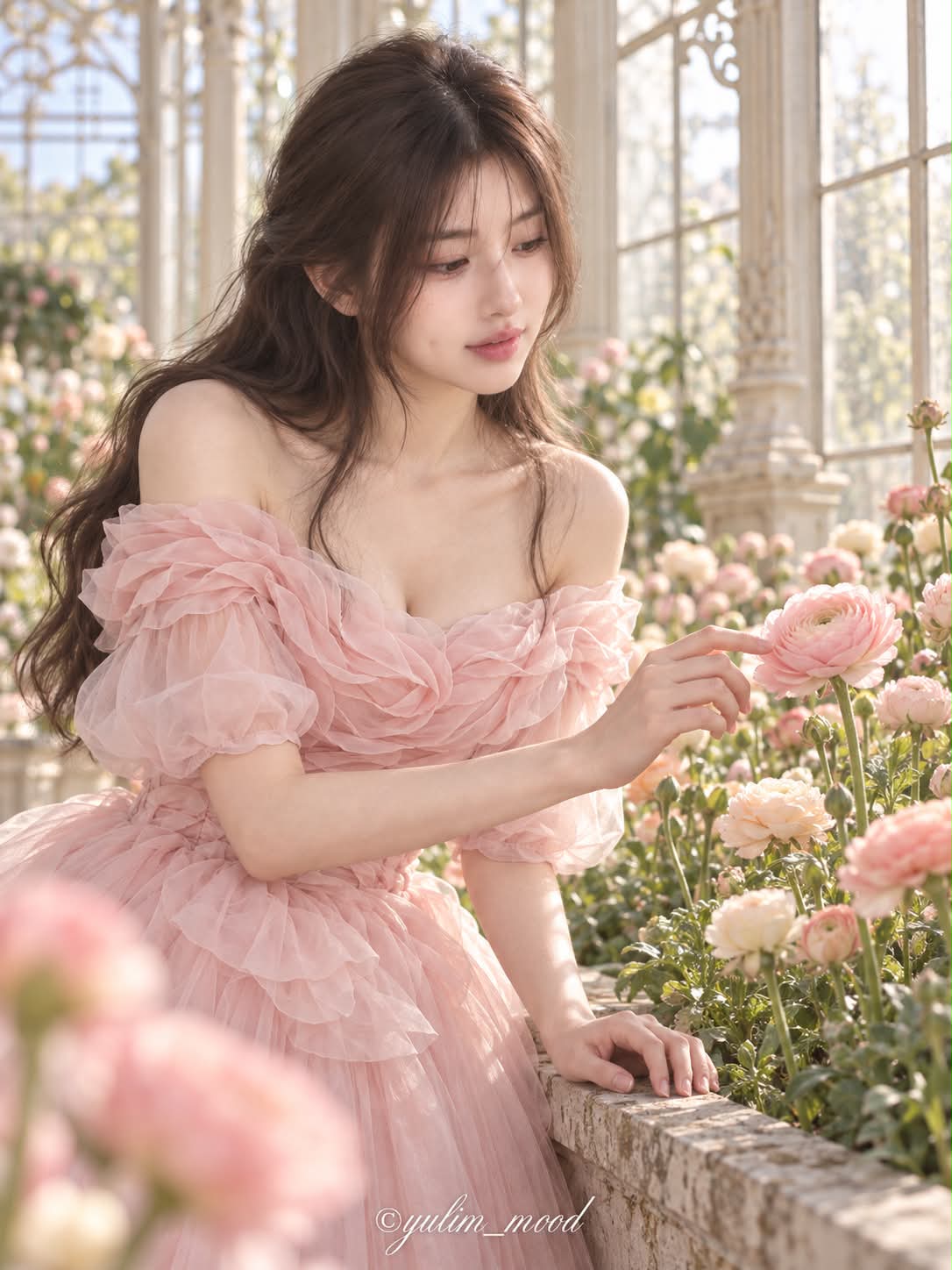 Dream of Ranunculus: The Blossom