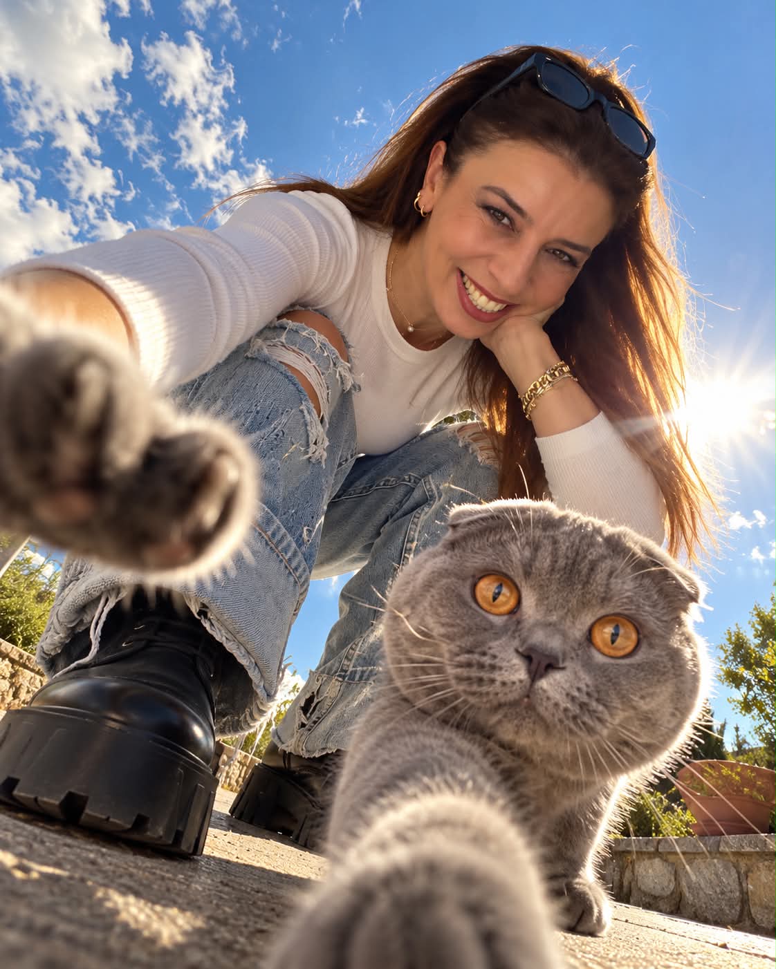Low-Angle Portrait with a Scottish Fold Cat