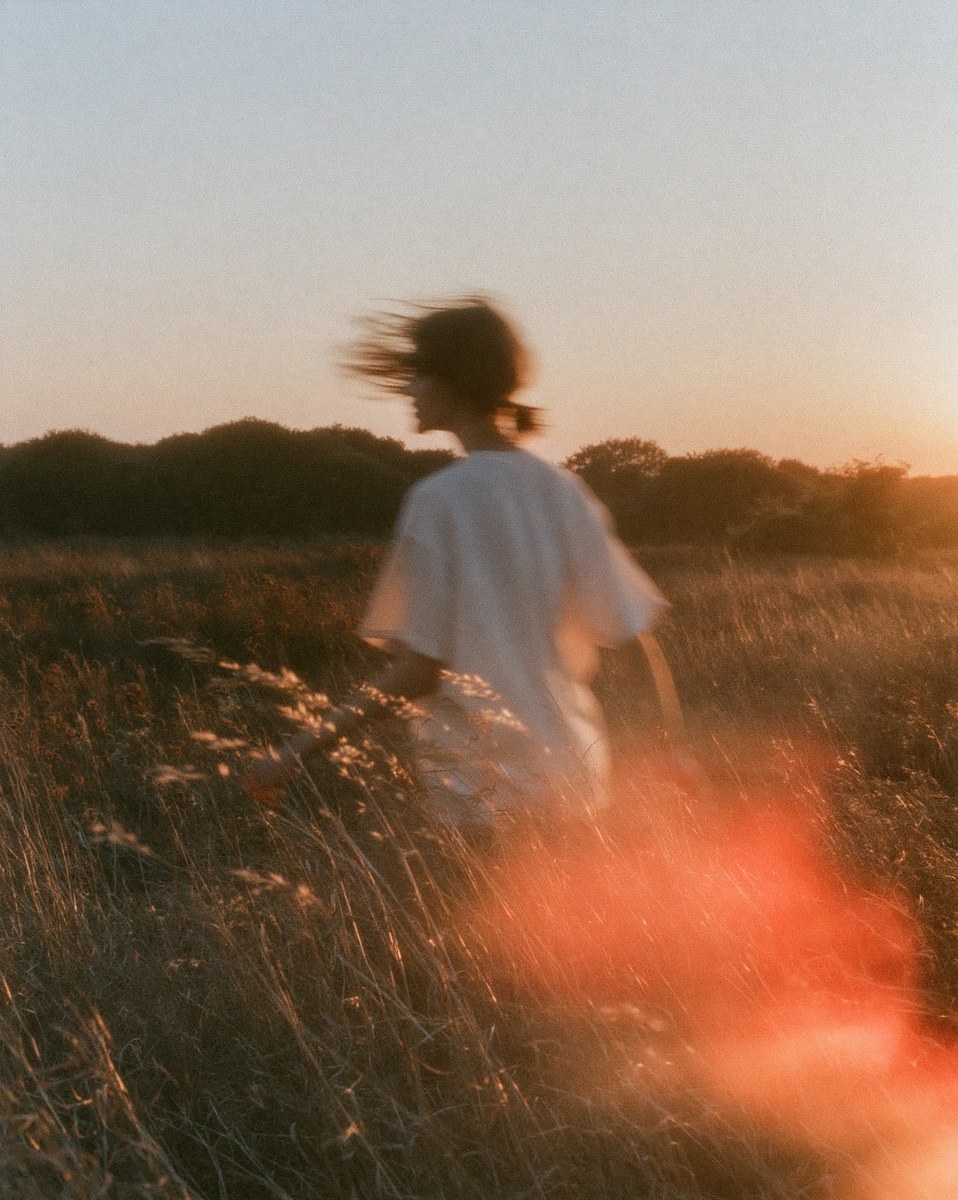 Cornfield at Final Sunset — 35mm Film Photo output 4